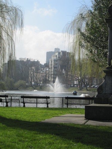 les bancs des etangs d'ixelles